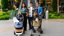 Main Bareng Anabul Di Grand Galaxy Park yang Cat Friendly