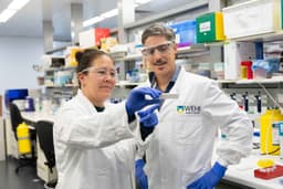 Rapid test breakthrough could transform iron treatment worldwide