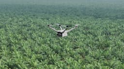 Pemantauan Keamanan Hutan dan Deteksi Kebakaran Lahan dengan DJI Dock 3