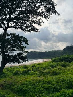 Lampung Selatan Jadi Lokasi Relawan Bakti BUMN 2026, PTPN Group dan InJourney Group Siap Bersinergi