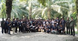 Holding Perkebunan Nusantara Dorong Produktivitas Sawit Rakyat melalui Pembelajaran di Kebun Adolina