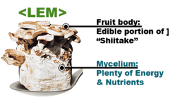 Anti Inflammatory Supplement Research Reveals New Potential of LEM for Gut and Immune Health