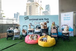 Animal Are Fun at Aloft Bangkok!  ชวนคนรักน้องหมาอิ่มอร่อยกับ Sunday Brunch & Bark ใจกลางสุขุมวิท พร้อมบุฟเฟต์สำหรับเพื่อนซี้สี่ขา  ณ ห้องอาหารเครฟ โรงแรม อลอฟท์ กรุงเทพ สุขุมวิท 11