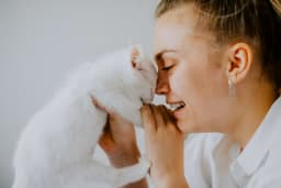 Kenali 8 Penyebab dan Cara Mengatasi Kucing Menangis