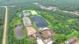 Hadapi Gejolak Energi Global, Holding Perkebunan Nusantara Andalkan PLTBg PalmCo