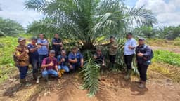 Holding Perkebunan Nusantara melalui PTPN IV Regional V Mutasikan TBM-3 ke TM-1 Seluas 1.119 Hektare pada Awal 2026