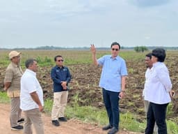 Dukung Program Mandiri Energi Nasional, Holding Perkebunan Nusantara Siapkan 10 Ribu Hektare Lahan Singkong di Lampung