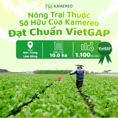 ranking2_img